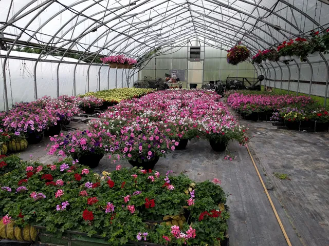 Pleasant Thyme Herb Farm