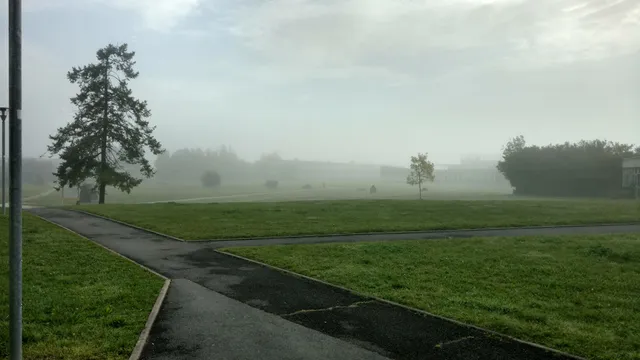 Université de Reims Champagne-Ardenne UFR Sciences Exactes et Naturelles - service de scolarité