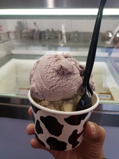 Motley Moo Creamery