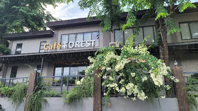 Cafe Forest Coffee & Dessert