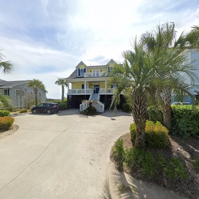 Palmettos and Sunshine