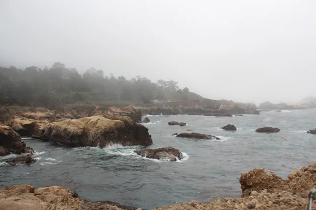 Weston Beach Point Lobos