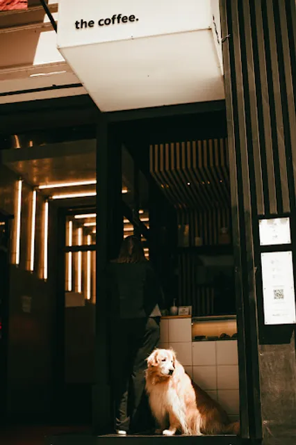 The Coffee Comendador