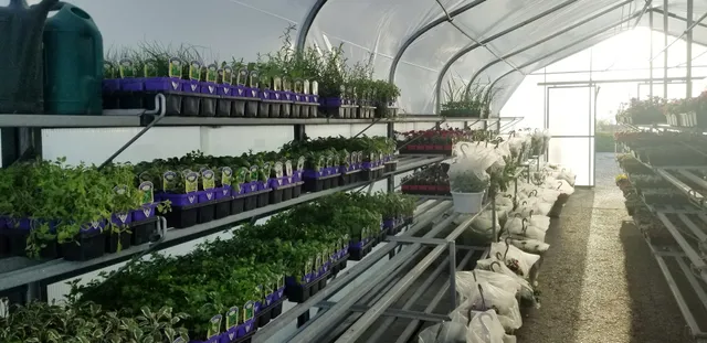 G & M Ace Hardware Inc