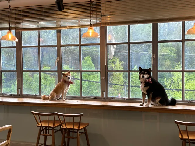 더미쓰리(The Mi Three)