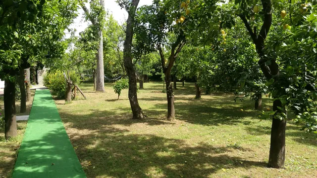 Villino Chalet Paradiso