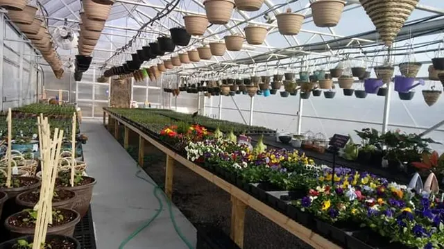 Pineloft Landscape and Garden Center
