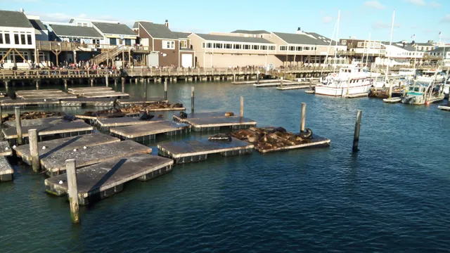 Enterprise Rent-A-Car