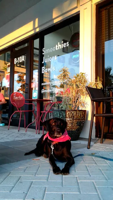 Modern Juice Company