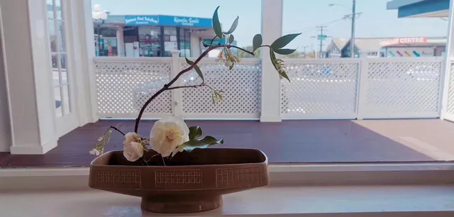 Bodhi Association NZ