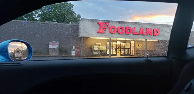 Bruce's Foodland Section