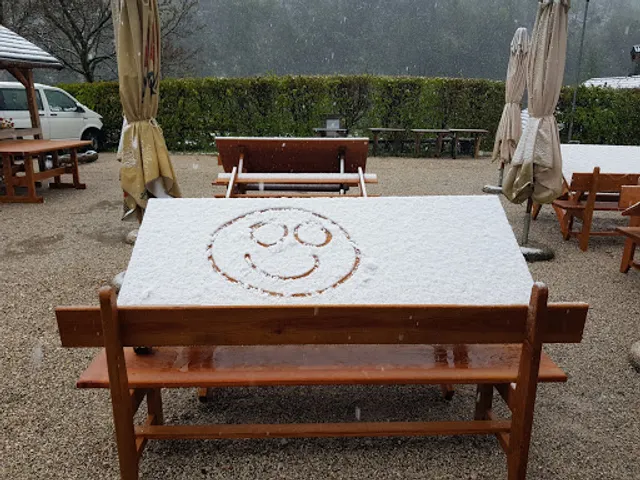 RISTORANTE L'INSONNIA S.N.C.