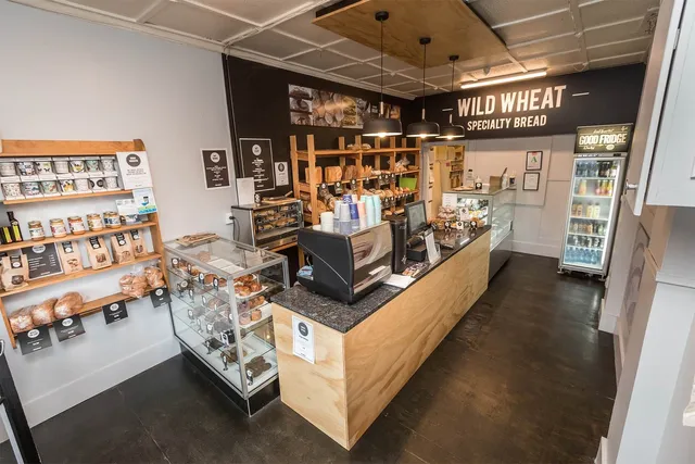 Wild Wheat Belmont