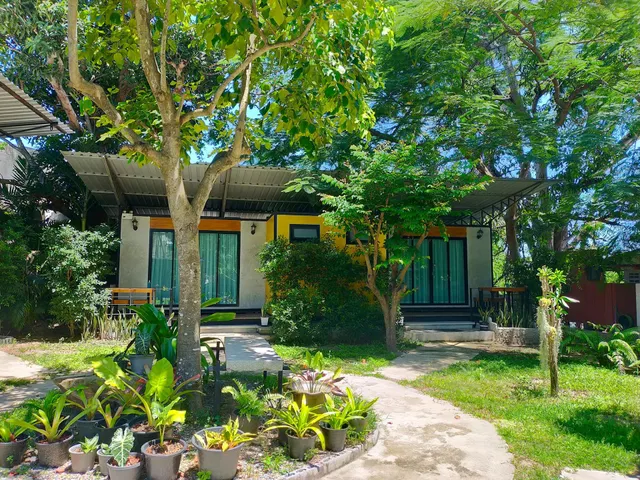 The monkey resort donheang