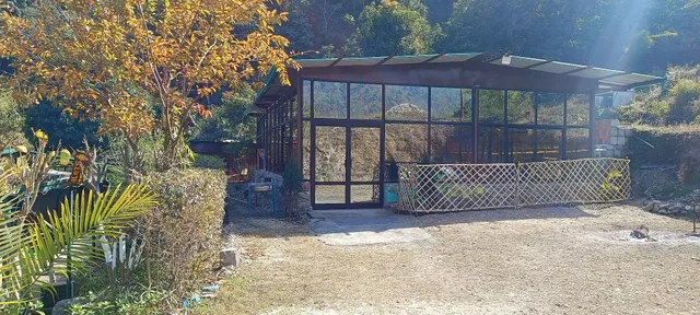 Eco Wild Camps, Rajaji Tiger Reserve