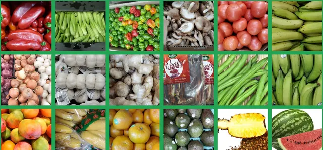 CO-OP CITY AFRICAN MARKET Inc.