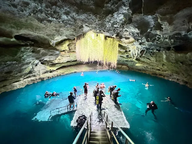 Devil's Den Prehistoric Spring and Campground