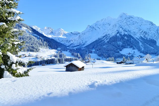 Villa Vanessa Ferienwohnung Kleinwalsertal