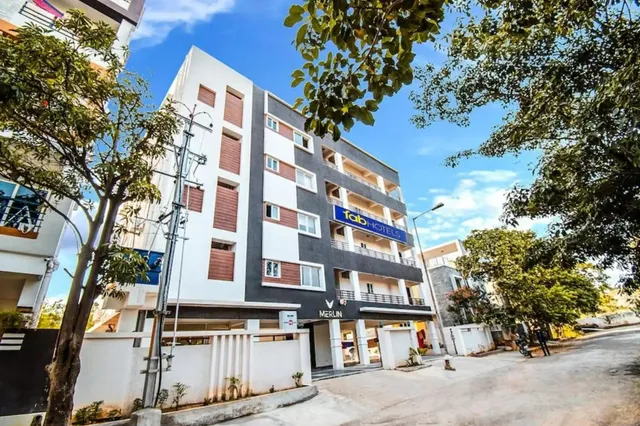 FALCONS NEST MERLIN STUDIOS