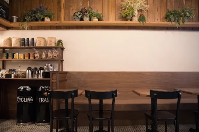 Black Seed Bagels | Nolita