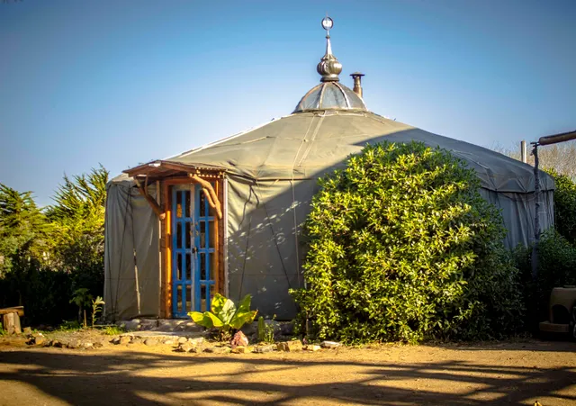 Desdeoriente punta de lobos