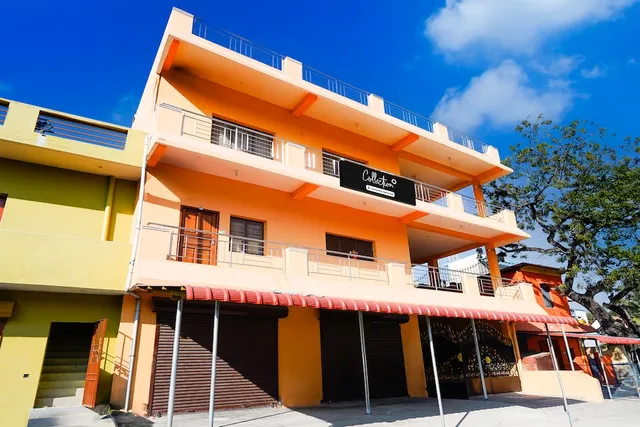 Collection O Auroville Pondicherry