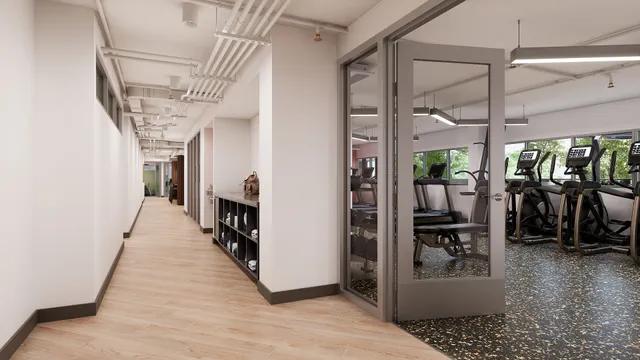 The Accolade on Chestnut