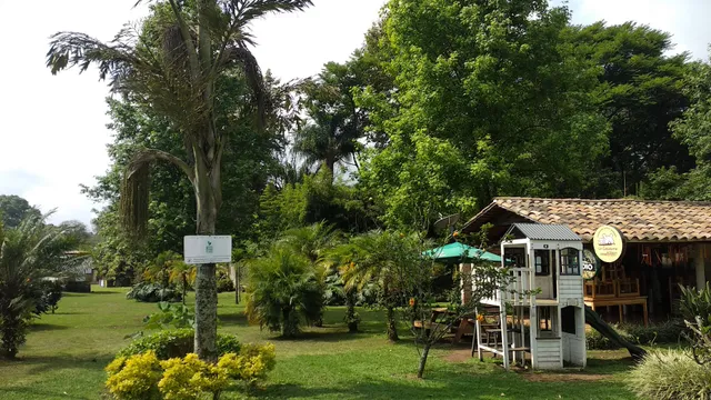 Pista Bosque Briones