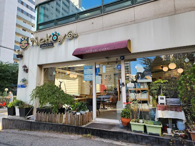 Nekoya Café