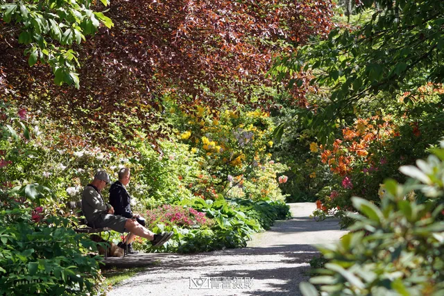 Ted and Mary Greig Rhododendron Garden