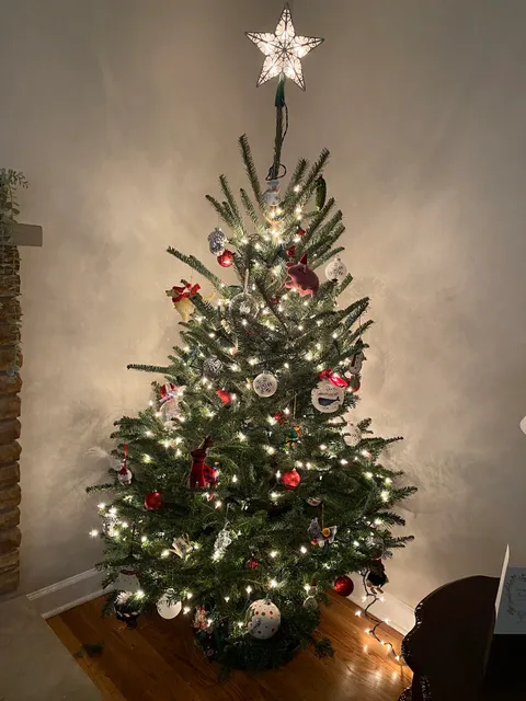 HTH Christmas Tree Lot