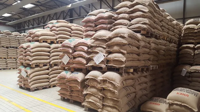 CAFFÈ VERGNANO 1882