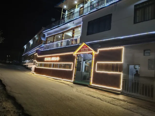Hotel Auli D - Hotel In Joshimath