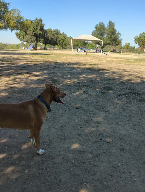 Woodward Dog Park