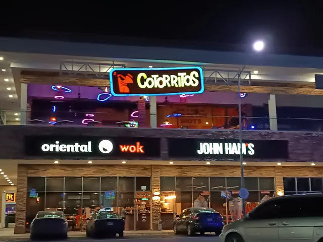 Oriental Wok Citadina Escobedo