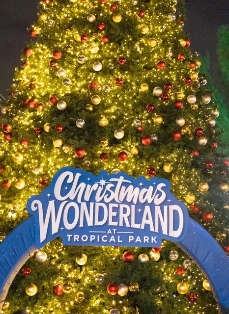 Christmas Wonderland - Miami