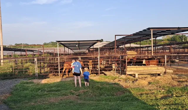 Durant Stockyards Co