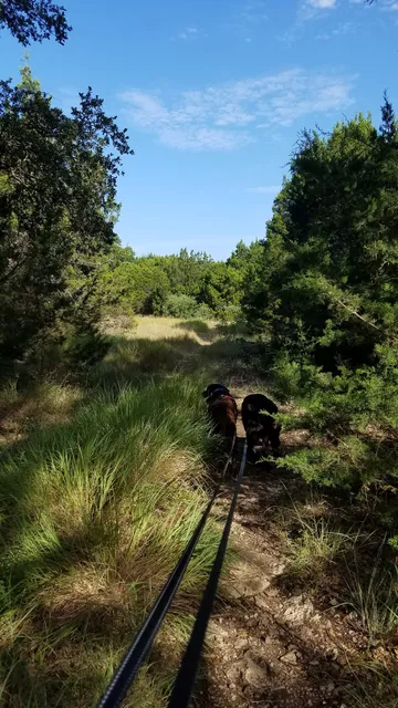 Buttercup Creek Cave Preserve