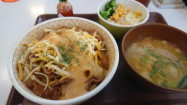 Sukiya R24 Koyaguchi Nagoso