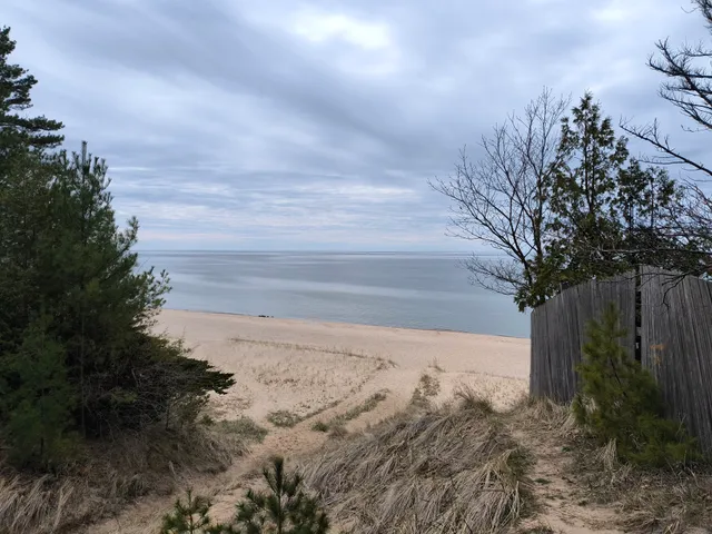 Filer Charter Township