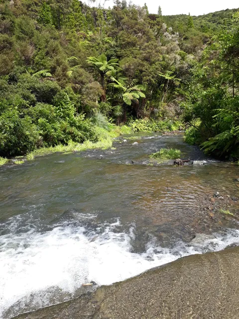 Raetea North Side Camping Area