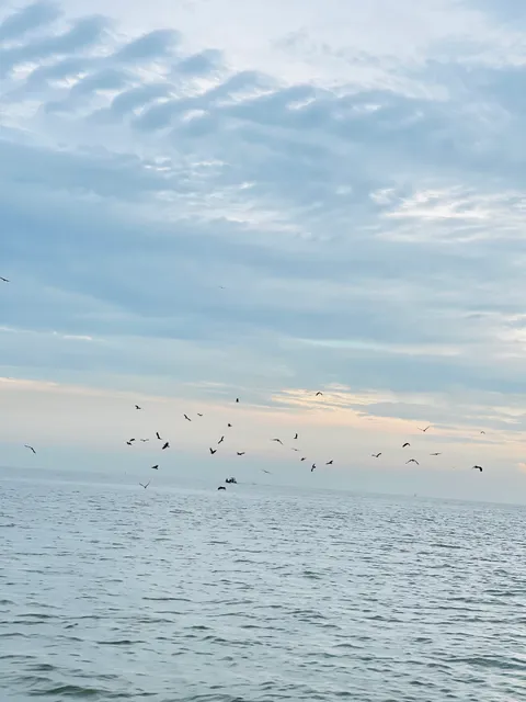 D tours kuala selangor sky mirror& Eagle feeding tour