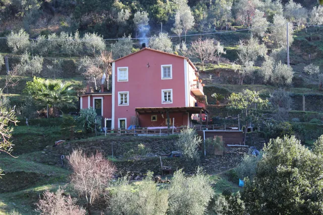 Azienda Agricola Il Brucaolivo