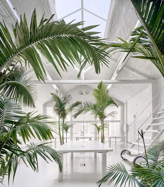 Acid House Barcelona