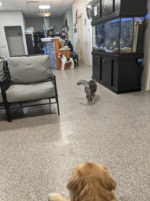 Grays Harbor Veterinary Services