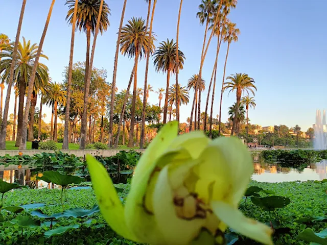 Echo Park