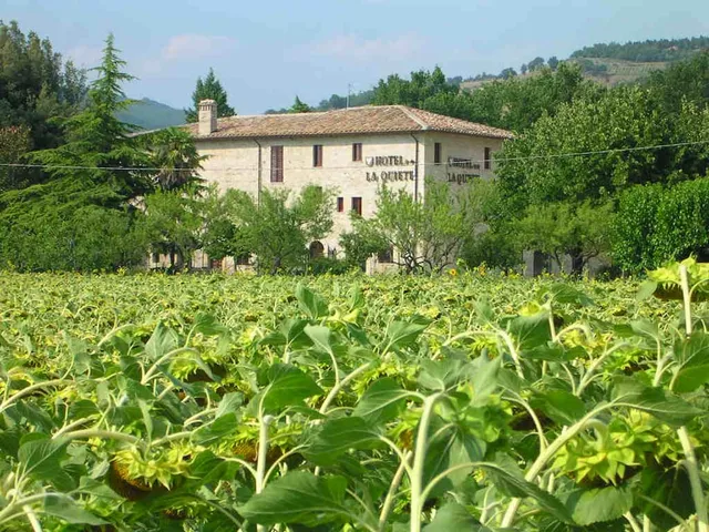 Hotel La Quiete