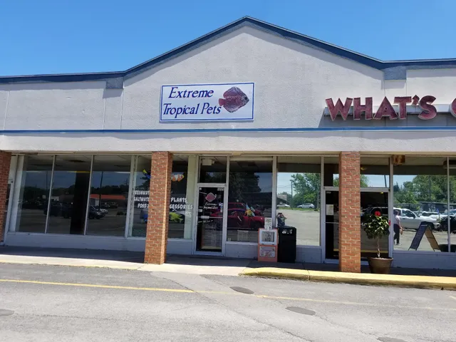 Extreme tropical pets