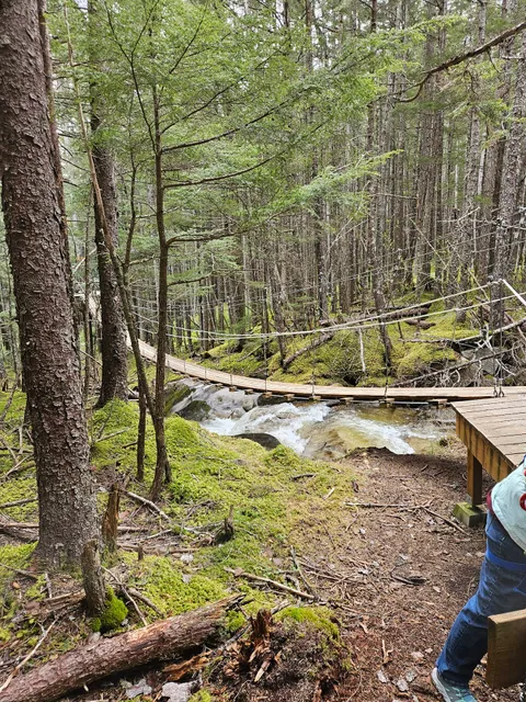 Rainforest Ropes & Zipline