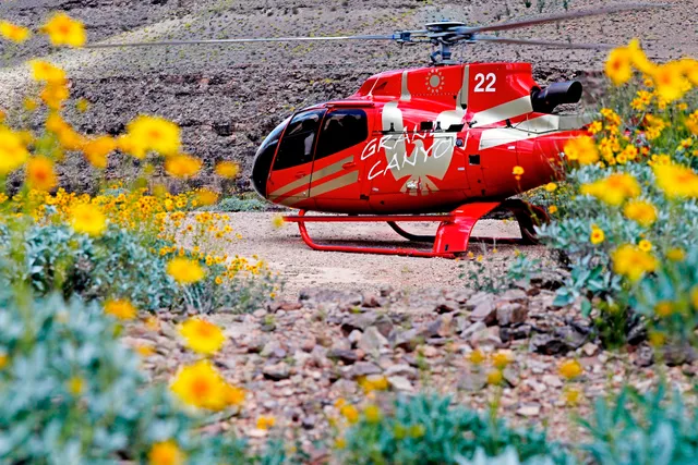 Papillon Helicopters - Las Vegas